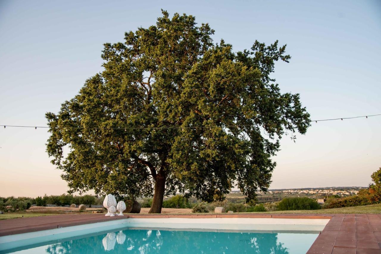 Trulli Paparale Alberobello Exterior photo